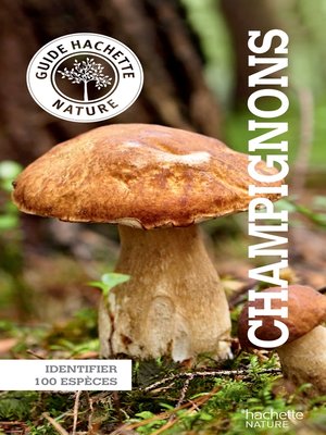 cover image of Le petit guide Hachette des champignons